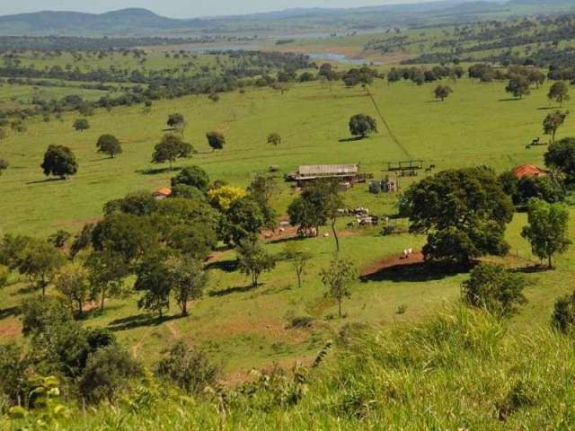 Fazenda de 388 Alqueires em Tupaciguara-MG: 800 hectares em Cana e estrutura completa para pecuária nas margens da Represa de Furnas!