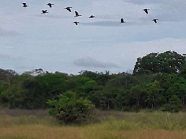 Fazenda em Santa Fé - MG com 535,67 hectares ou 110,67 alqueires;