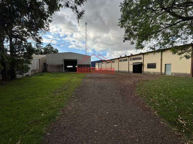 Pavilhão/Galpão para alugar no bairro Albino Nicolau Schmidt - Cascavel/PR