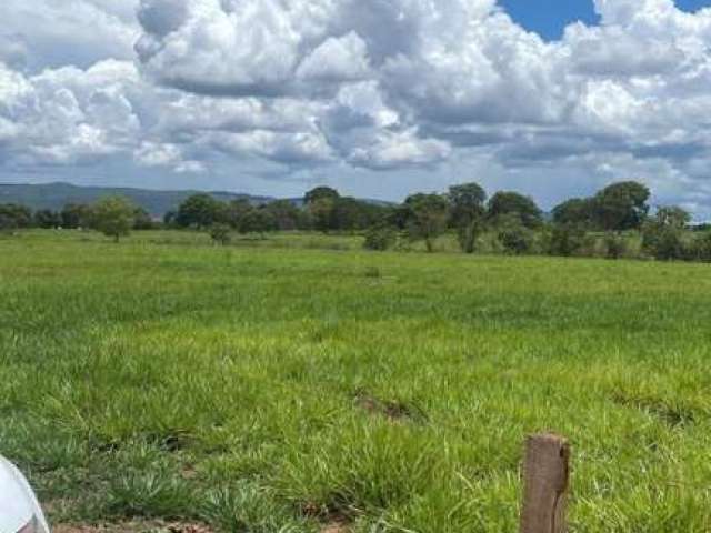 Fazenda para Venda em FORMOSA, AREA RURAL DE FORMOSA, 3 dormitórios, 3 banheiros