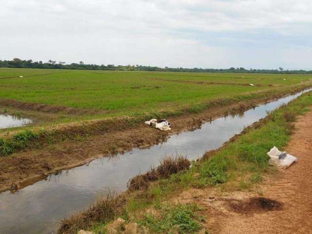 Fazenda para Venda em FORMOSA, VILLAGE, 3 dormitórios, 2 banheiros, 10 vagas