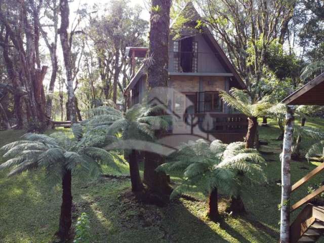 Casa com excelente terreno!