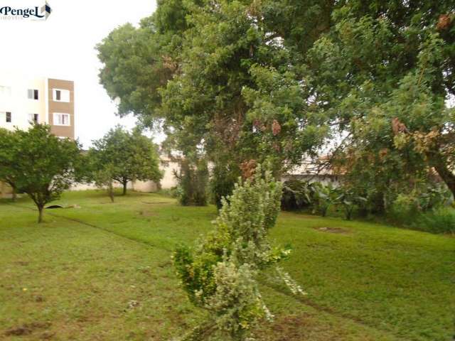 Terreno Plano murado São José dos Pinhais Bairro Iná com 425m² 11,83m² x 36,00m²