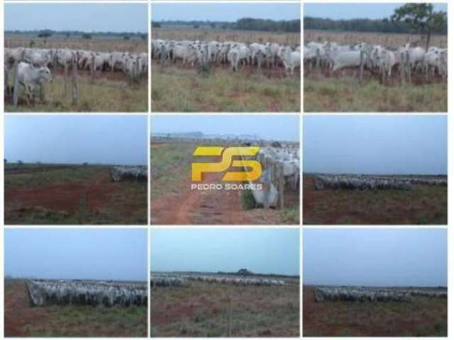 Fazenda 10.280 hectares a venda por R$700.000.000,00.