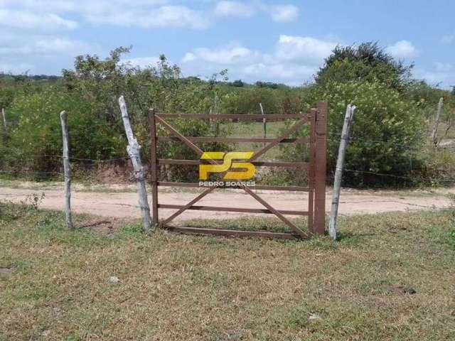 Sitio a venda 4 hectares oportunidade solanea-pb