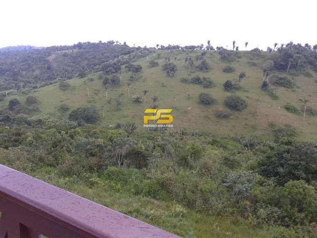 Area com 32 hectares a venda em bananeiras -pb