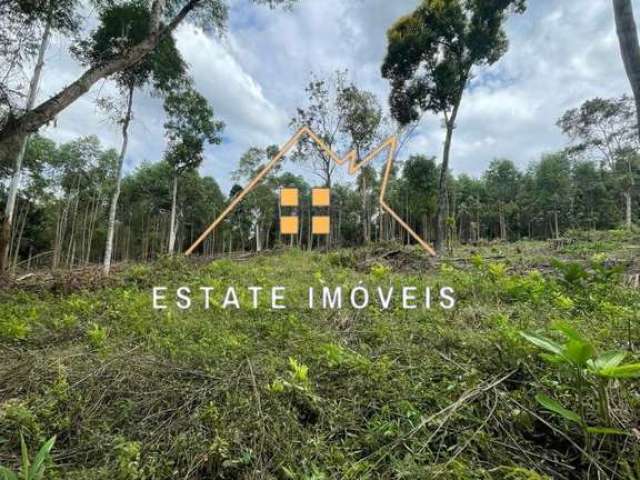 Terreno Industrial para Venda em Santa Isabel, Granja Urupês