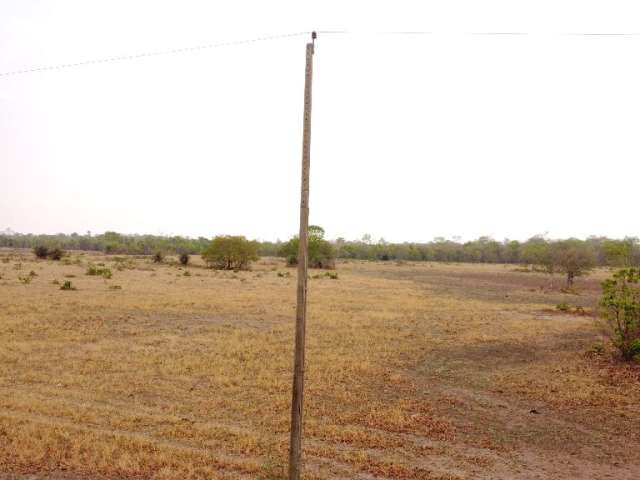 Vendo – Fazenda de 161ha próxima a Cuiabá MT