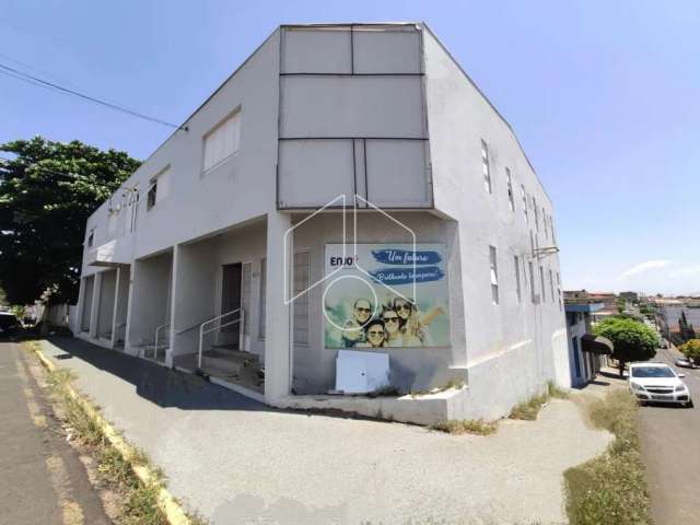 Comercial LojaSalão em Marília