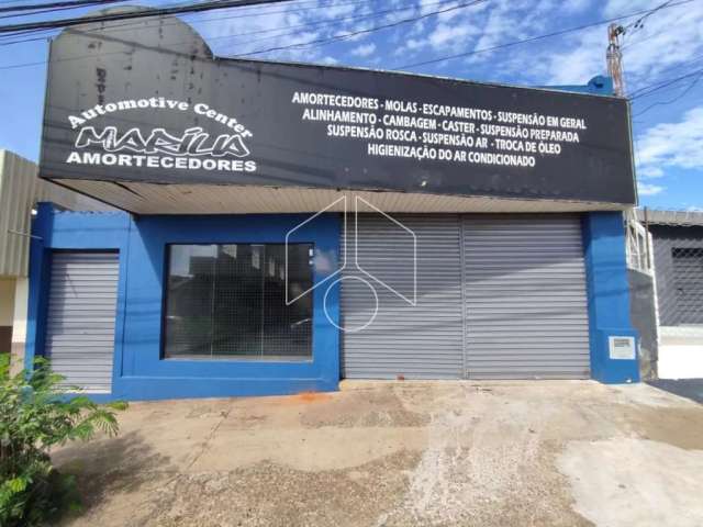 Comercial Galpão/Barracão em Marília