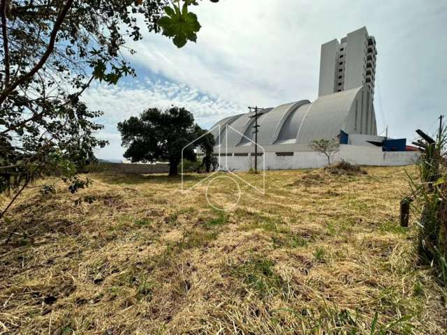 Terreno Área em Marília