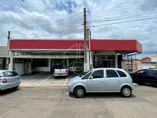 Comercial GalpãoBarracão em Marília