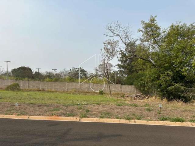 Terreno Dentro de Condomínio em Marília