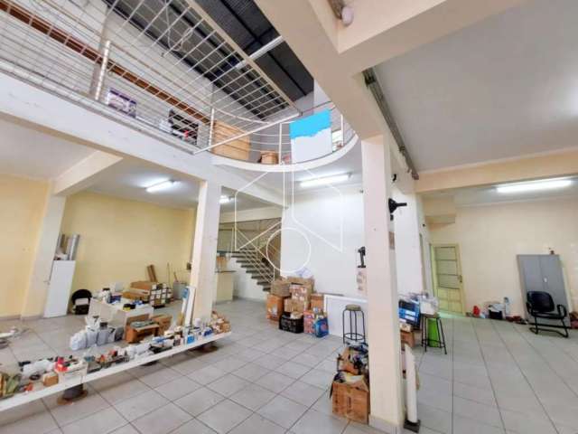 Comercial Galpão/Barracão em Marília