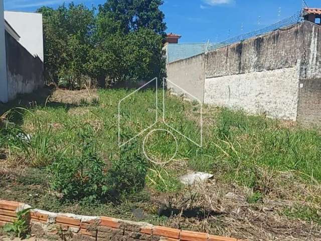 Terreno / Fora de Condomínio - Jardim São Francisco - Venda - Residencial