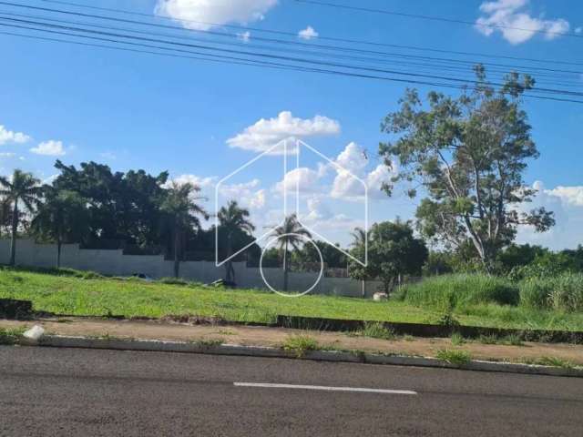 Terreno Fora de Condomínio em Marília