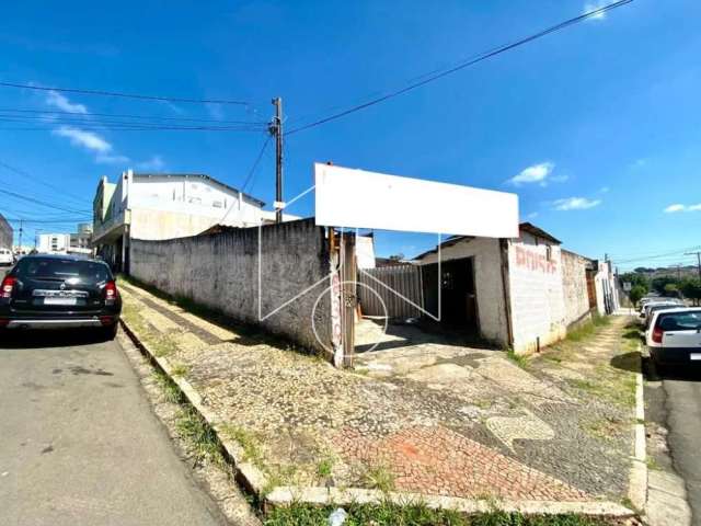 Terreno Área em Marília