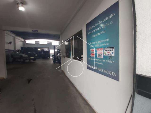 Comercial GalpãoBarracão em Marília