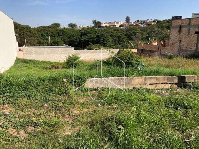 Terreno Fora de Condomínio em Marília