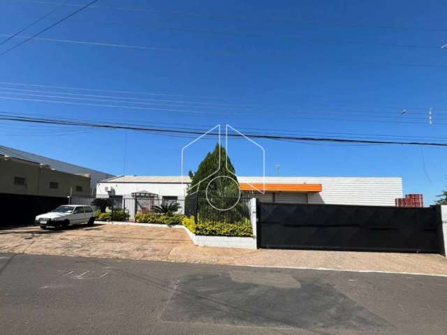 Comercial GalpãoBarracão em Marília