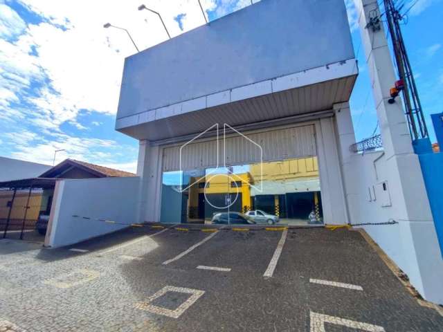 Comercial GalpãoBarracão em Marília