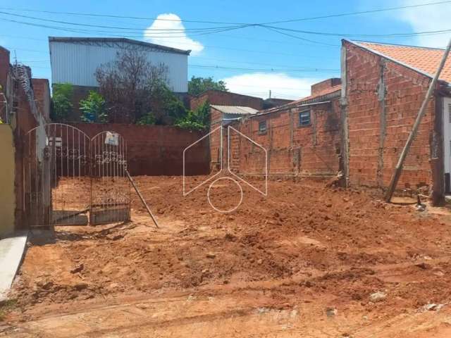 Terreno Área em Marília