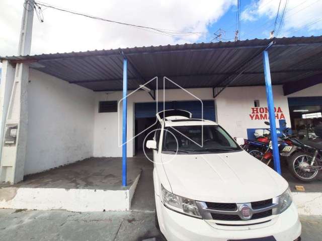 Comercial GalpãoBarracão em Marília