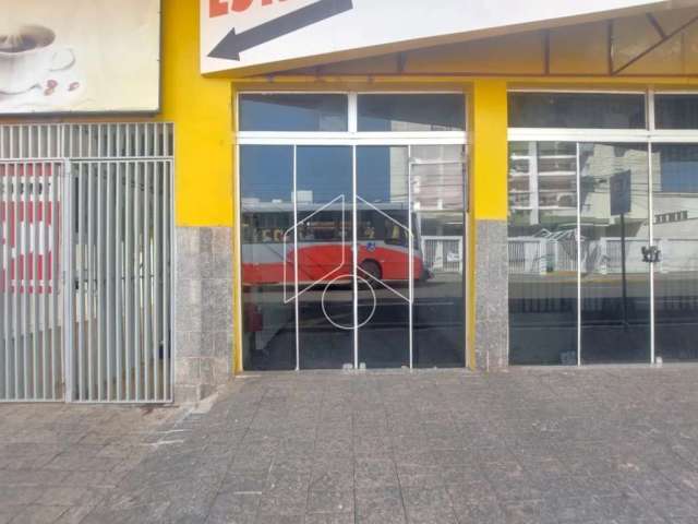 Comercial LojaSalão em Marília