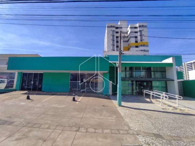 Comercial LojaSalão em Marília