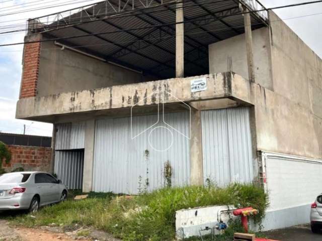 Comercial GalpãoBarracão em Marília