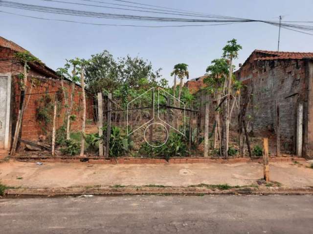 Terreno Fora de Condomínio em Marília