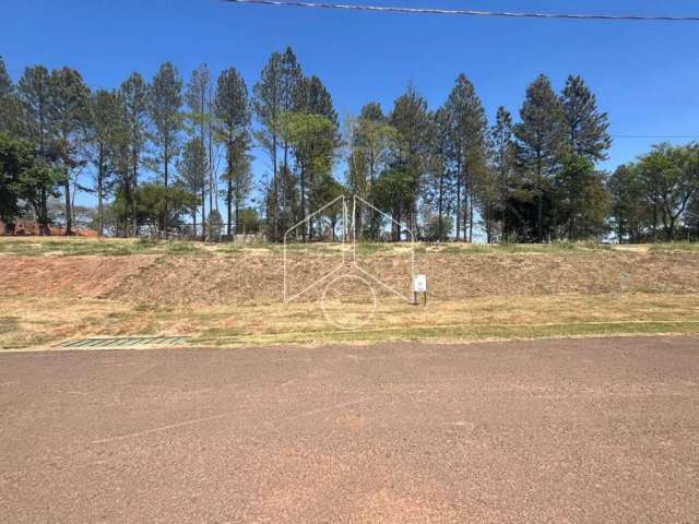 Terreno Dentro de Condomínio em Marília