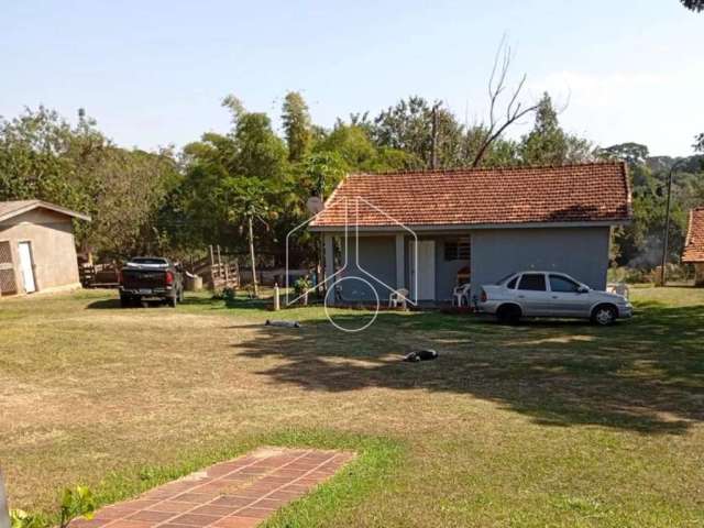 Estância JR - Rod. Dona Leonor Mendes de Barro - Km 333