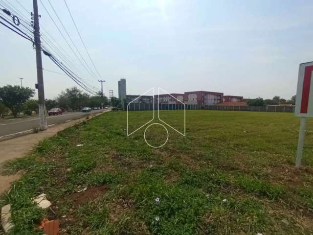 Terreno Área em Marília