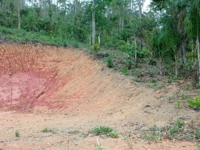 Terreno 3,8 alqueires b forros monteiro lobato