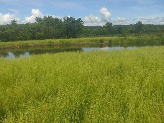 Fazenda em camapuã/ms -  com casa, represa e riacho