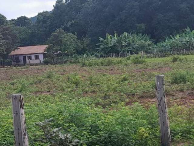 Fazenda imperdível com boa localização.