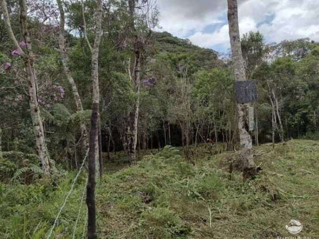 Bela chácara com escritura, muitas árvores frutíferas e represa