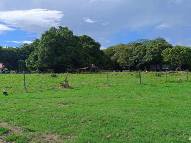 Fazenda de 100 alqueires com casa, curral e represas em alvorada - to