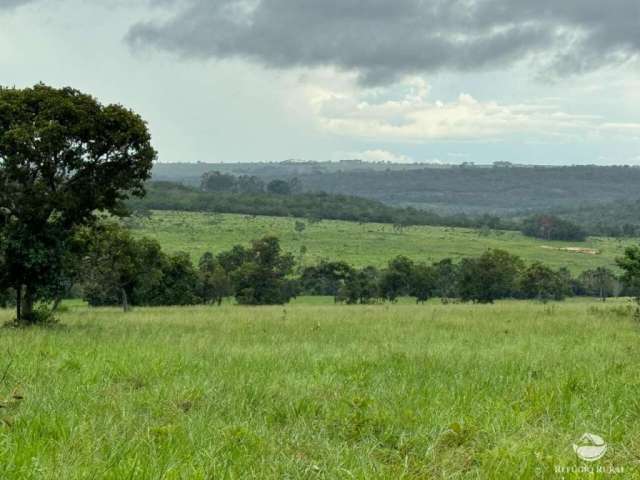 Fazenda de 1.930 hectares - imperdível!