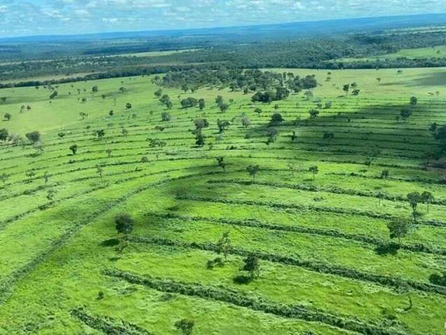 Fazenda incrível com ótima infraestrutura em alcinópolis/ms