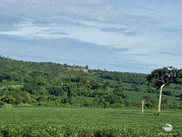 Bela fazenda em são luis de montes belos/go