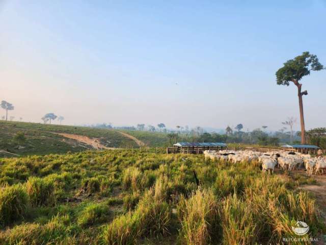 Fazenda imperdível em novo progresso/pa