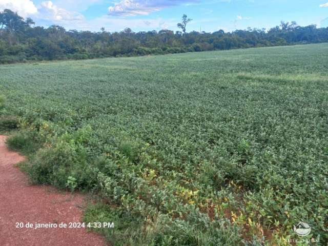 Fazenda com ótima estrutura em juara/mt