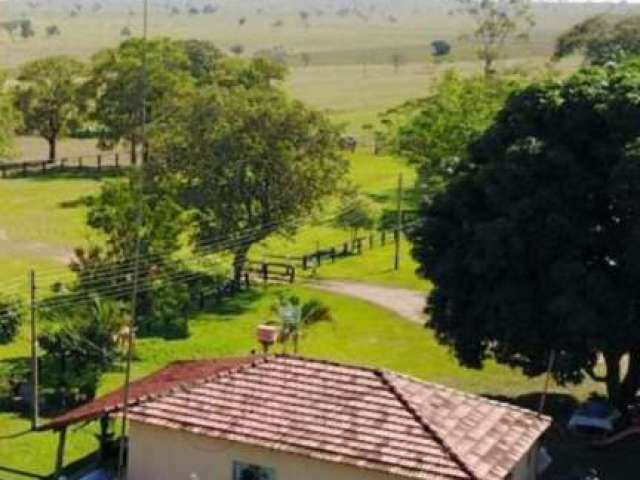 Fazenda incrível na região do chapadão do sul