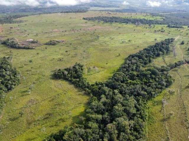 Fazenda excelente em general carneiro/mt -  ótima oportunidade!