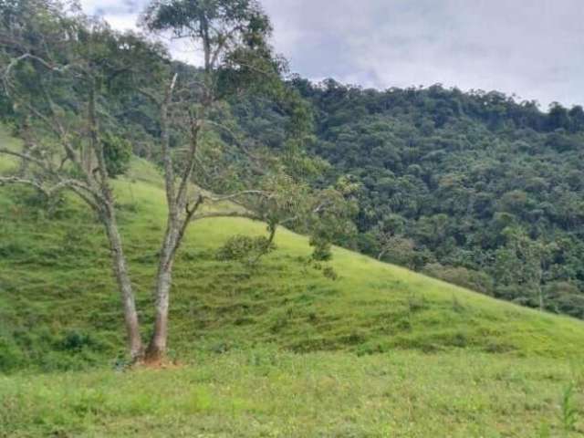 Terreno  em são francisco xavier com mata preservada e linda vista