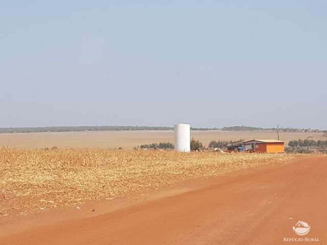 Fazenda incrível em água boa/to