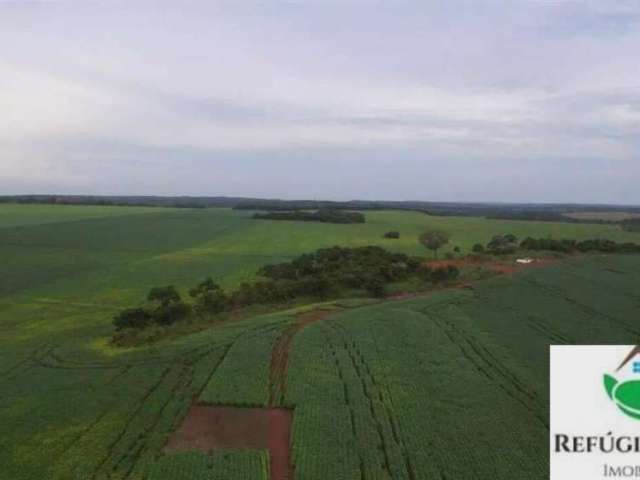 Fazenda imperdível em darcinópolis/to