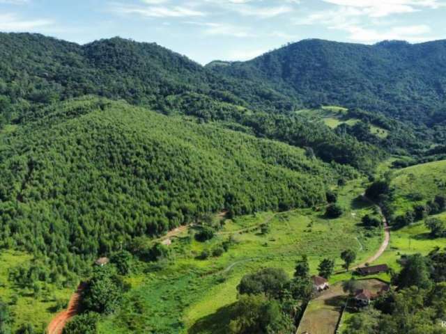 Fazenda em piracaia com várias nascentes e muito eucalipto